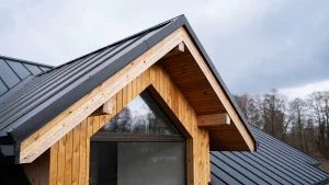 How Roofing Systems Protect Home